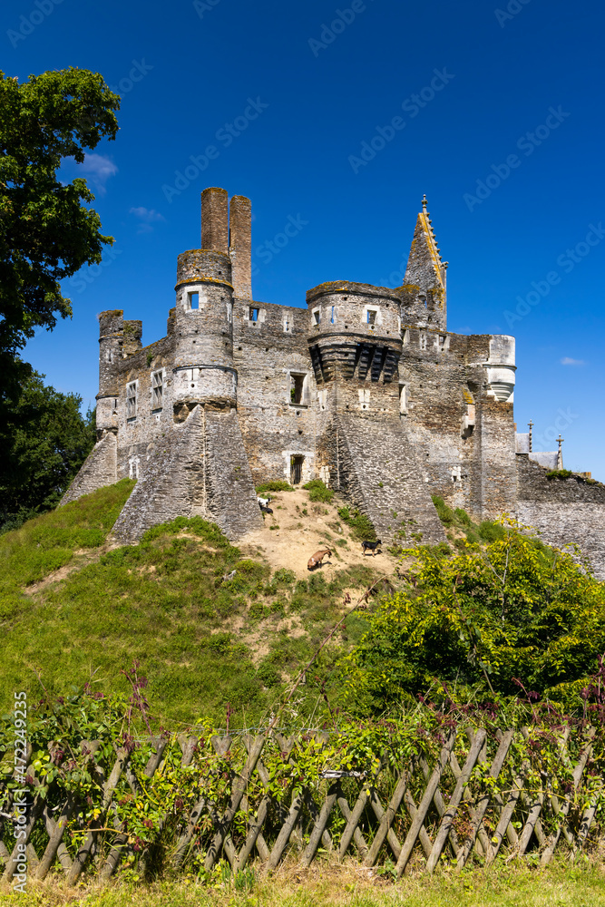 Chateau du Plessis Mace, Pays de la Loire, France