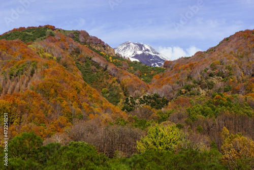 Autunno sull'Etna