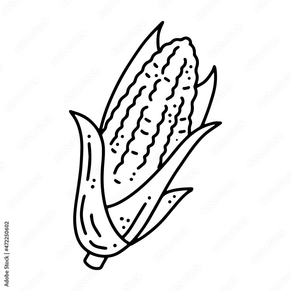 Maize Corn linear cartoon vector icon in doodle style, autumn Vegetable Harvest Maize Corn linear cartoon vector icon in doodle style, autumn Vegetable Harvest