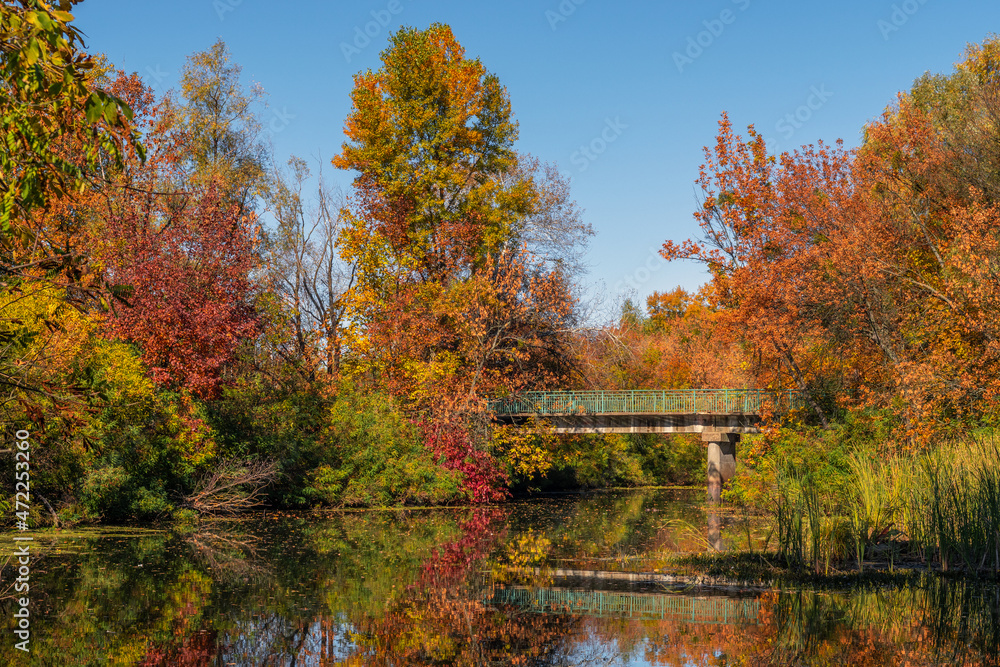 Trees painted in autumn colors are reflected in the waters of the river. Nice autumn weather. Trees painted in autumn colors are reflected in the waters of the river. Nice autumn weather.