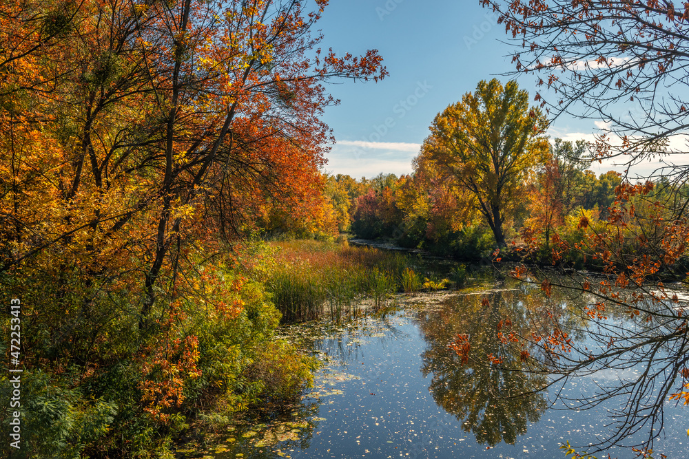 Trees painted in autumn colors are reflected in the waters of the river. Nice autumn weather.