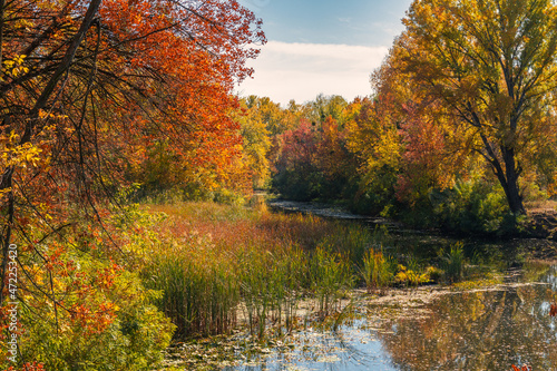 Trees painted in autumn colors are reflected in the waters of the river. Nice autumn weather.