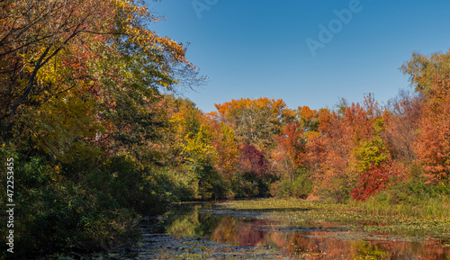 Trees painted in autumn colors are reflected in the waters of the river. Nice autumn weather.