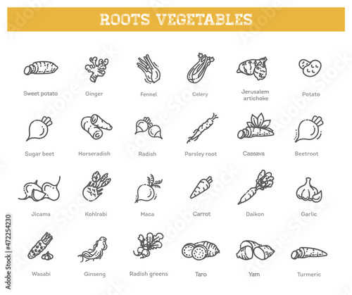 Basic root vegetables thin line icon set
