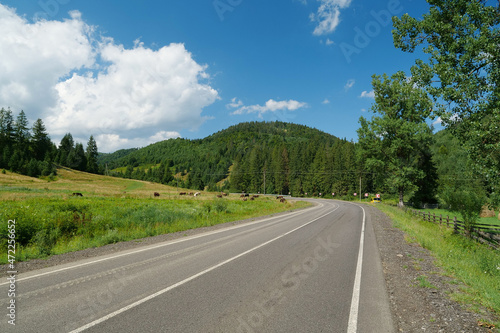 Road in Carpathian Mountains, Ukraine