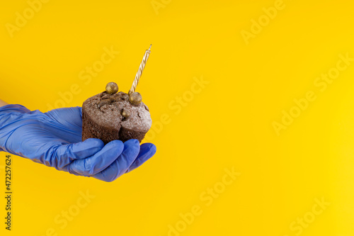 Fototapeta Naklejka Na Ścianę i Meble -  Chocolate muffin in hand, protected by a blue glove. Safe food concept. Homemade dessert on a yellow background. Copy space.