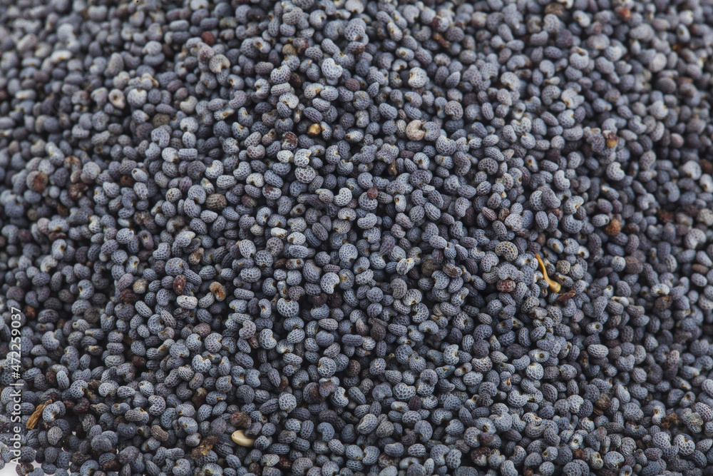 Texture of gravel poppy as background. Texture of gravel poppy as background.