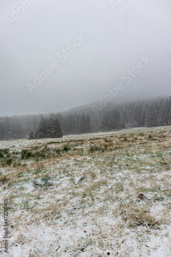 Wallpaper Mural Winterwanderung auf dem Ruppberg durch den verschneiten Thüringer Wald - Thüringen Torontodigital.ca