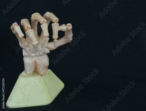 Accurate Skeleton Hand Model with Black Background and Copyspace - Science, Medicine and Anatomy Concepts
