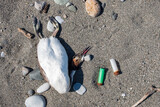 a dead bird and two shells next to it, killing birds on the seashore