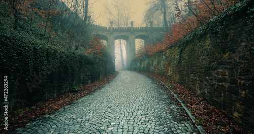  Ancient   aqueduct on a foggy morning