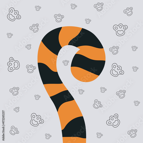 Tigers tail on the background of paws.