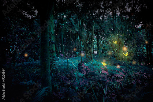 Fototapet Fantasy forest at night with butterflies.