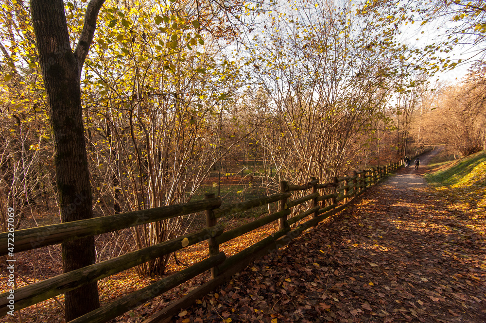 I colori dell'autunno al parco I colori dell'autunno al parco