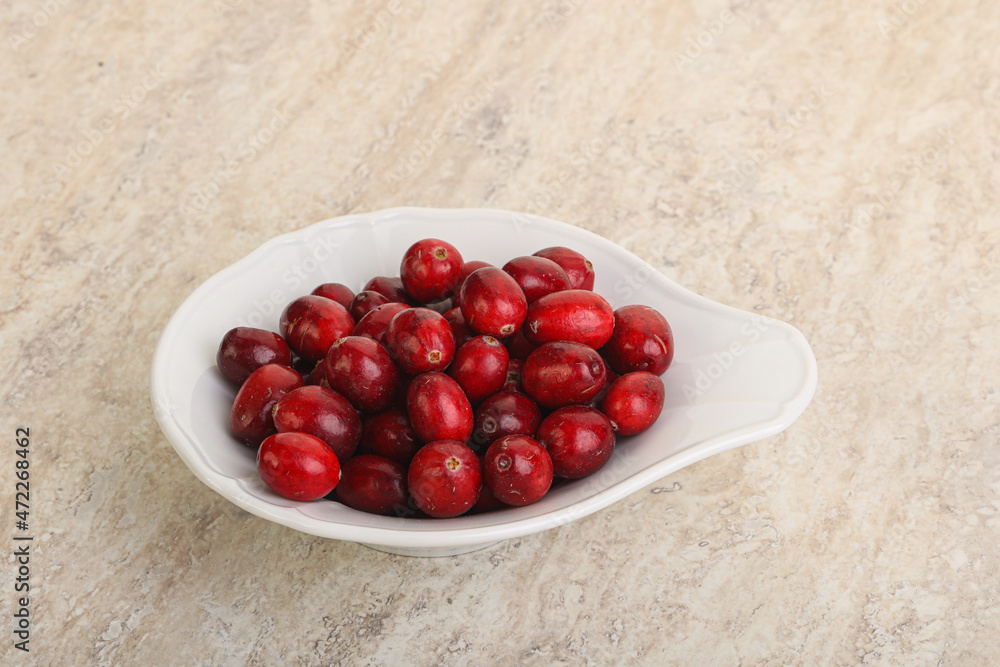 Ripe sweet tasty cranberry in the bowl Ripe sweet tasty cranberry in the bowl