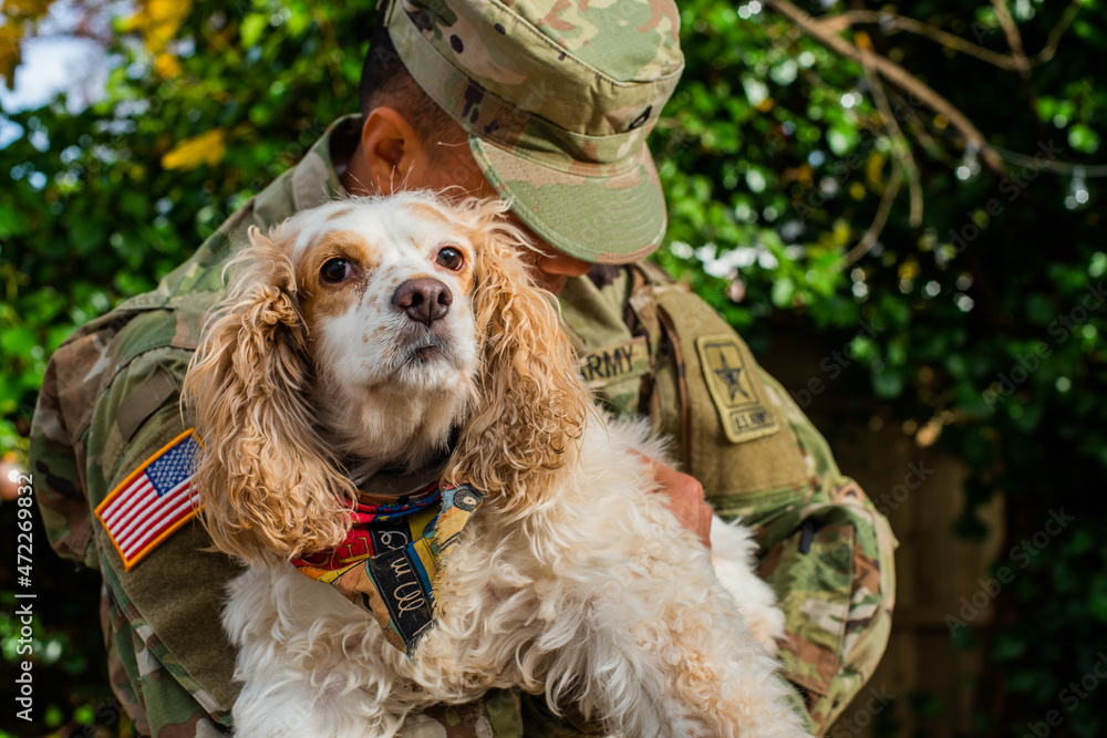 Army private in fatigues in the autumn with rescue dog Army private in fatigues in the autumn with rescue dog