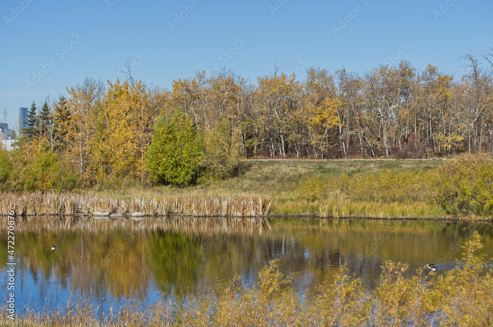 Pylypow Wetlands on an Autumn Day Pylypow Wetlands on an Autumn Day
