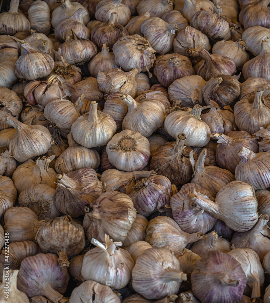 Garlic Garlic