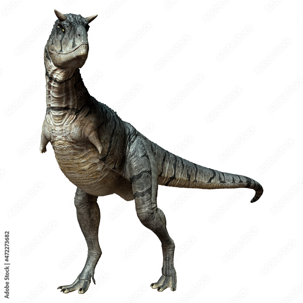 Fototapeta premium 3D Rendering Carnotaurus Sastrei Dinosur on White