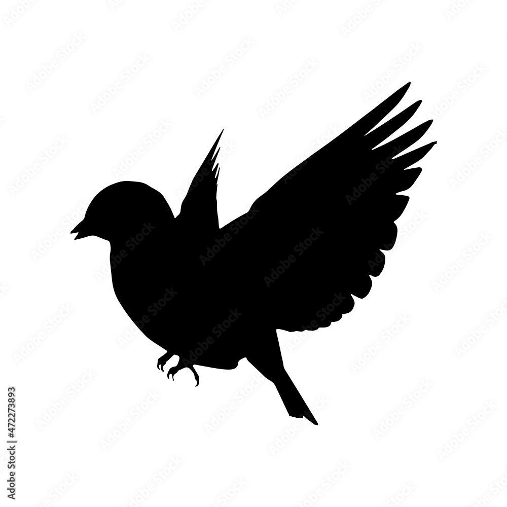 Obraz premium Natur Outdoor Welt