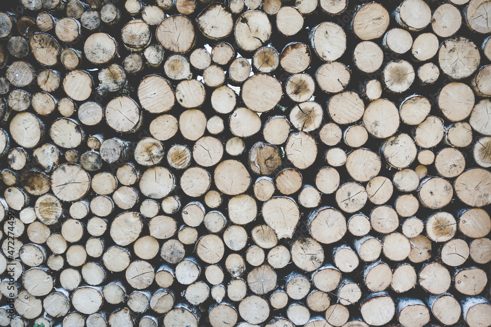 Stack of tree trunks. Texture background Stack of tree trunks. Texture background