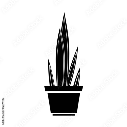 Pflanze Blume