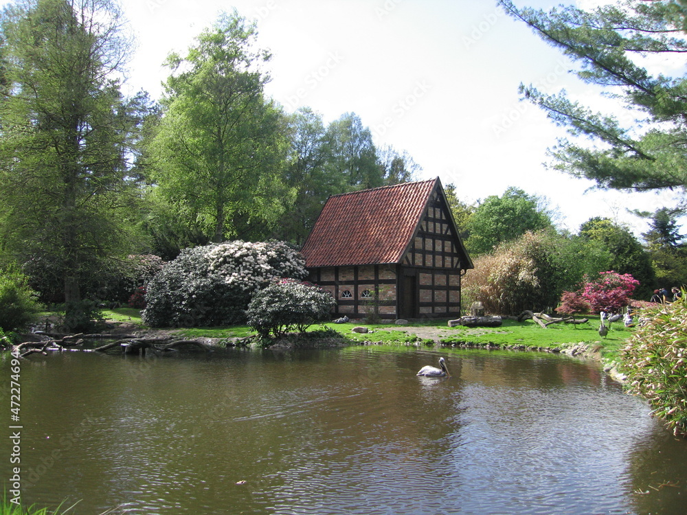 Teich und Bauernhof im Vogelpark Walsrode