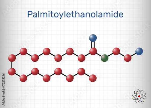 Palmitoylethanolamide, palmitoyl ethanolamide, palmidrol, PEA molecule. It is endogenous fatty acid amide, used as prophylactic of respiratory viral infection. Molecule model. Sheet of paper in a cage