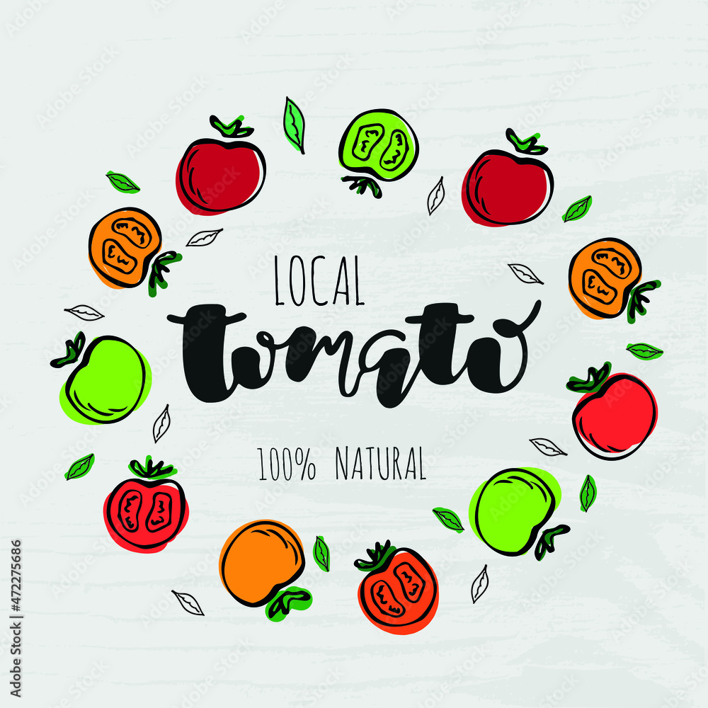 Tomato hand sketched lettering. Vector illustration. Concept for organic food, farmers market, natural product design. Tomato logo, banner, flyer, badge, icon. Tomato hand sketched lettering. Vector illustration. Concept for organic food, farmers market, natural product design. Tomato logo, banner, flyer, badge, icon.