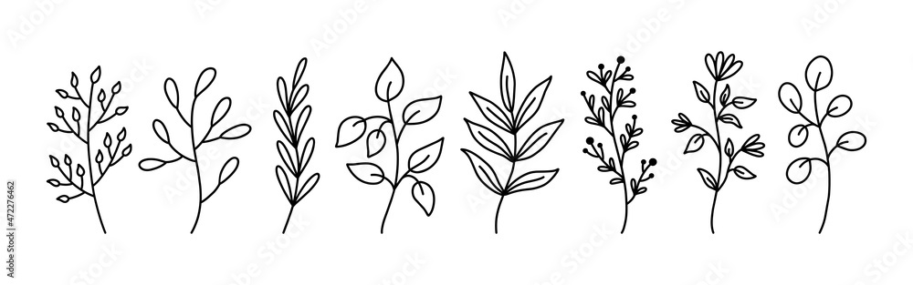 Botanical floral doodles isolated on white background. Set of abstract twigs with leaves of different shapes. Hand-drawn vector illustration. Perfect for cards, invitations, decorations. Botanical floral doodles isolated on white background. Set of abstract twigs with leaves of different shapes. Hand-drawn vector illustration. Perfect for cards, invitations, decorations.