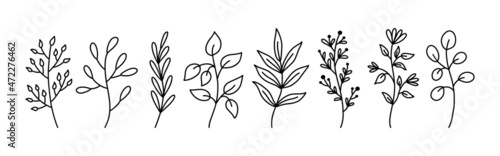Botanical floral doodles isolated on white background. Set of abstract twigs with leaves of different shapes. Hand-drawn vector illustration. Perfect for cards, invitations, decorations. © lesyau_art