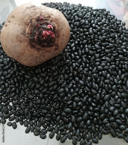 beterraba no feijão uma alimentação saudável. food seed black bean photo