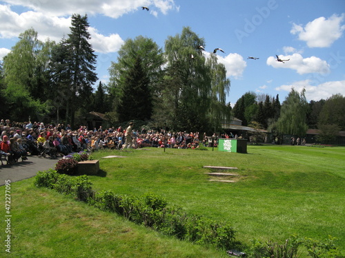Flugschau im Vogelpark bzw. Weltvogelpark Walsrode