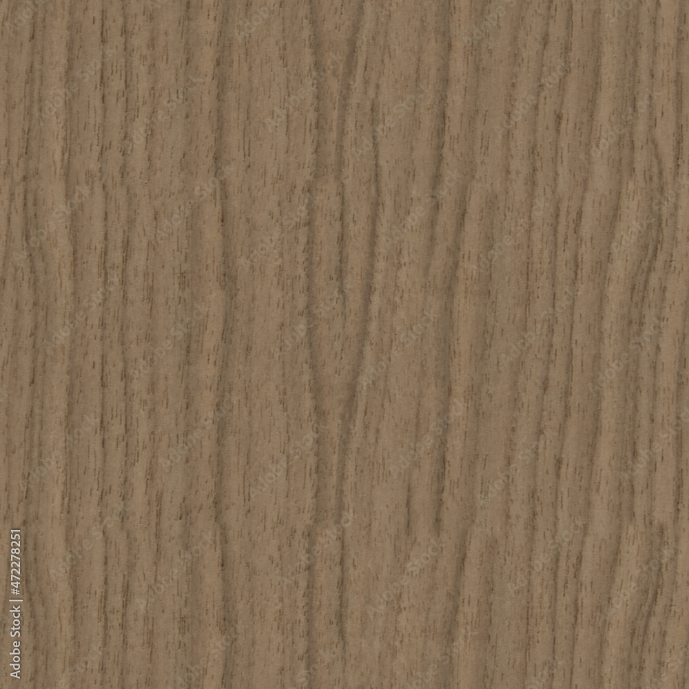 wood texture wood texture