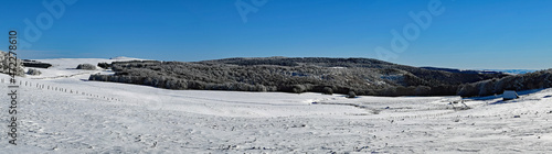 AUBRAC - burons de la Poujade