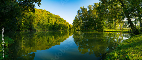 Lake and green forest