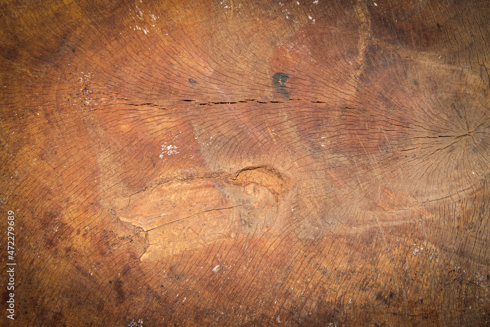 Fototapeta premium surface Wood texture background, old wood texture pattern