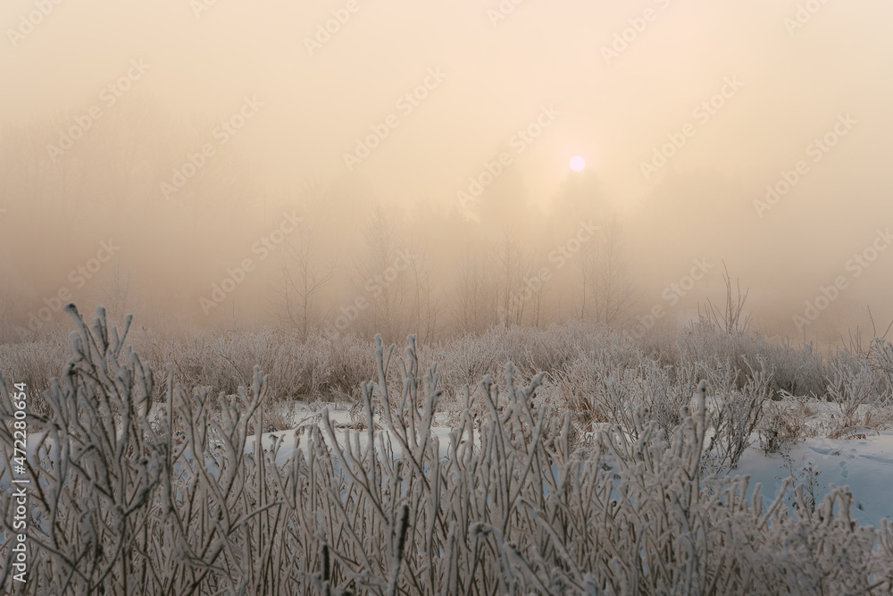 fog on the river