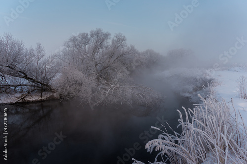 trees in the fog © Evgenii Ryzhenkov