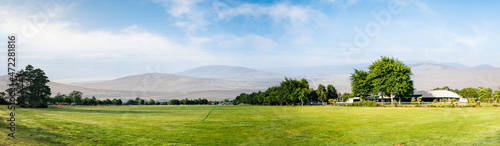 Green grass field and mountain in horizon