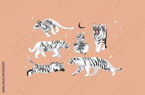 Hand drawn vector abstract stock graphic cartoon illustration with beauty cute celestial trendy wildlife white,moon tiger,moon and stars collection set.Magic Boho clipart elements,chinese zodiac sign.