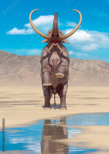 mammoth in the desert after rain is standing up with copy space © DM7