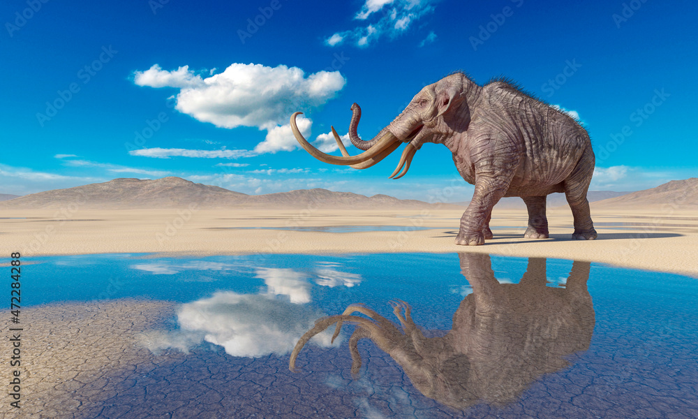 Fototapeta premium mammoth is angry in the desert after rain with copy space
