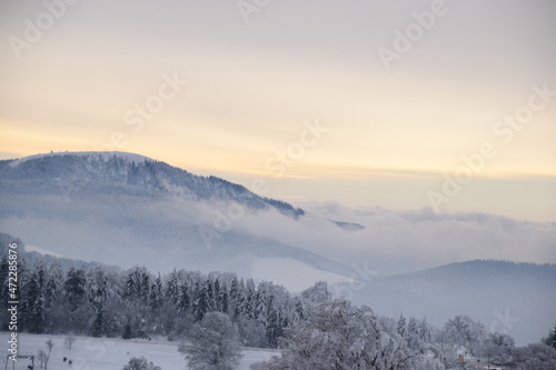 Winterlandschaft Schauinsland Germany