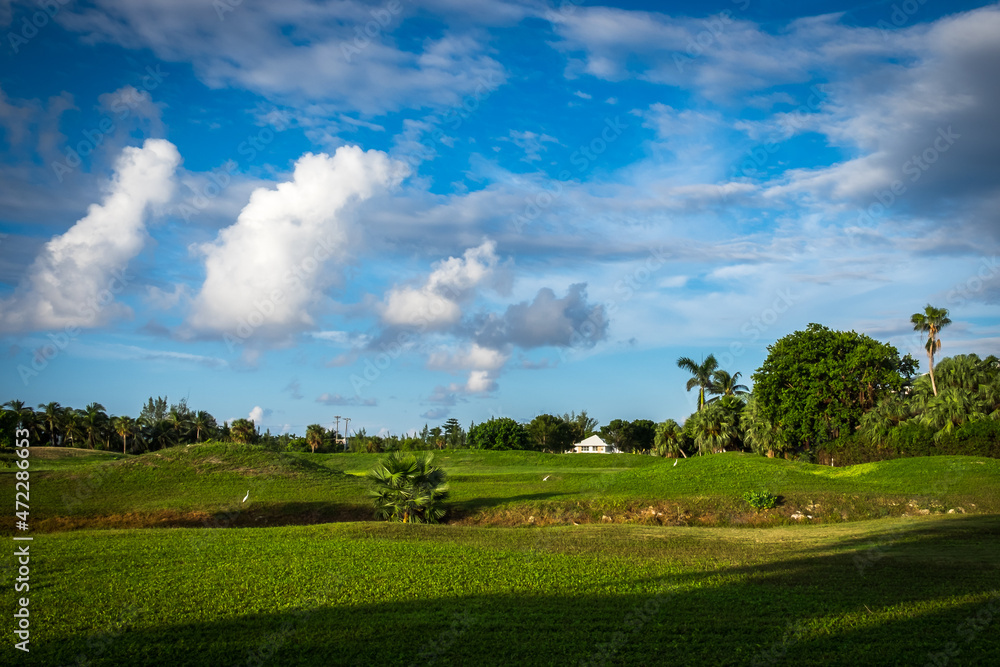 Naklejka premium Redundant golf course at sunrise on Grand Cayman, Cayman Islands