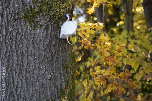 lost mask on the side of a tree 