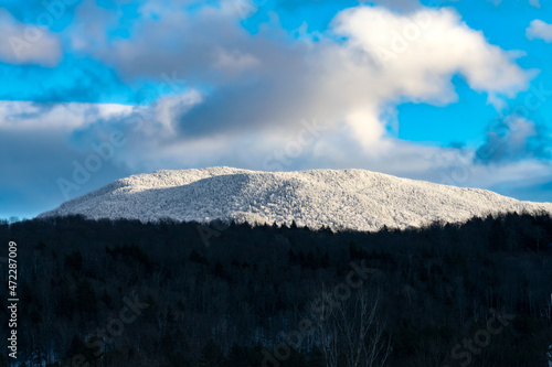 Snow covered mountain behind a dark forest with blue skies.
