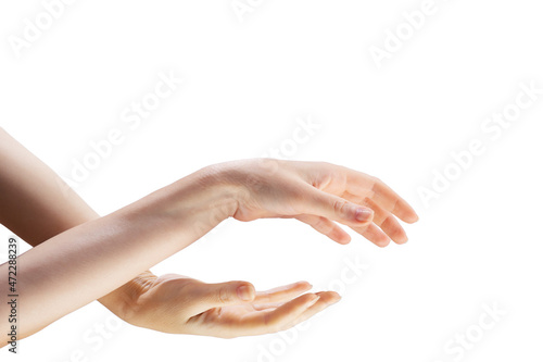 Two beautiful female hands connect to each other on a white background