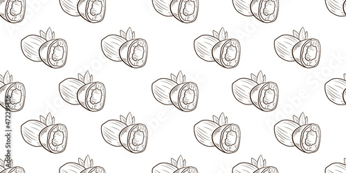 seamless pattern with coconuts, hand drawn coconut, background template, black and white outline coconuts.
