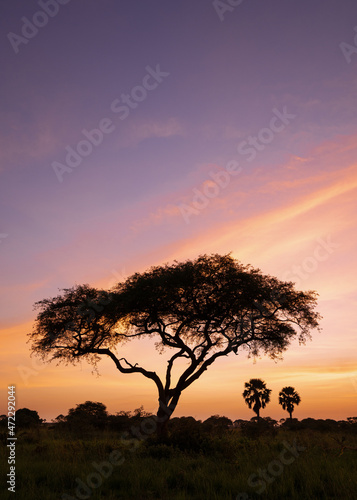 Sunrise, Uganda © alfotokunst